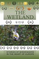 The Wetland